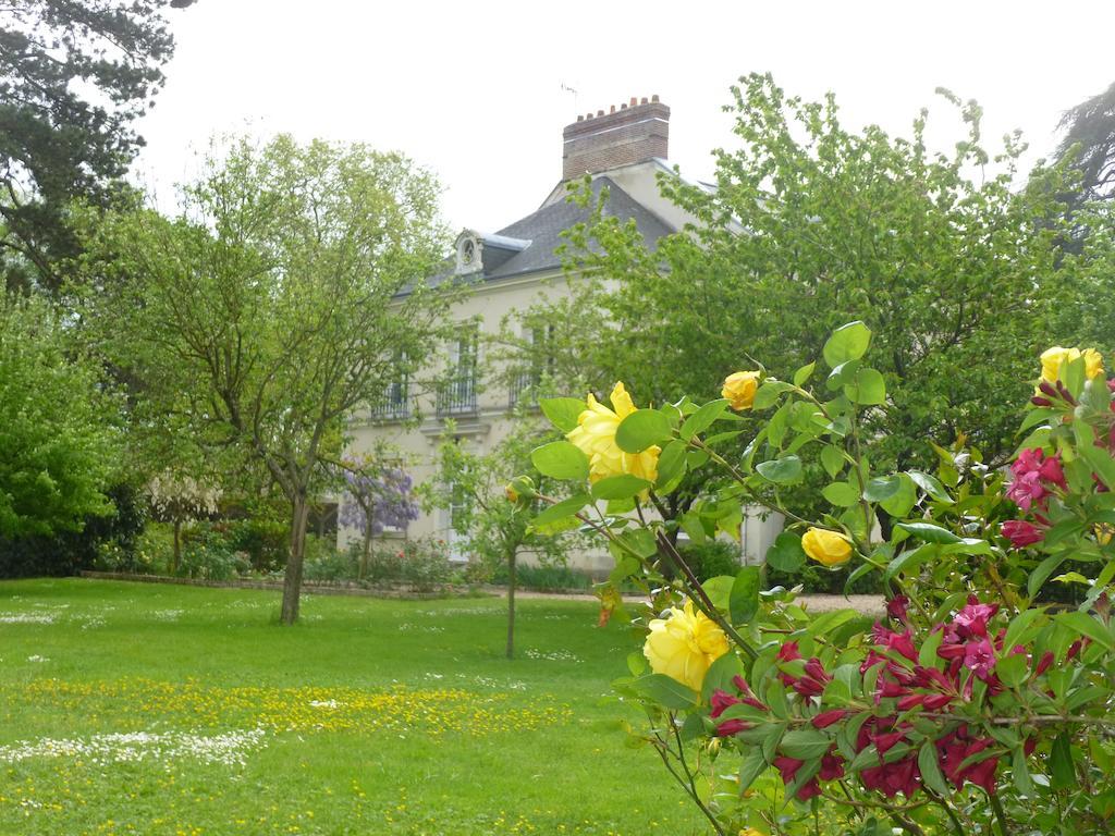 Cedre Et Charme Bed & Breakfast Saint-Branchs Luaran gambar