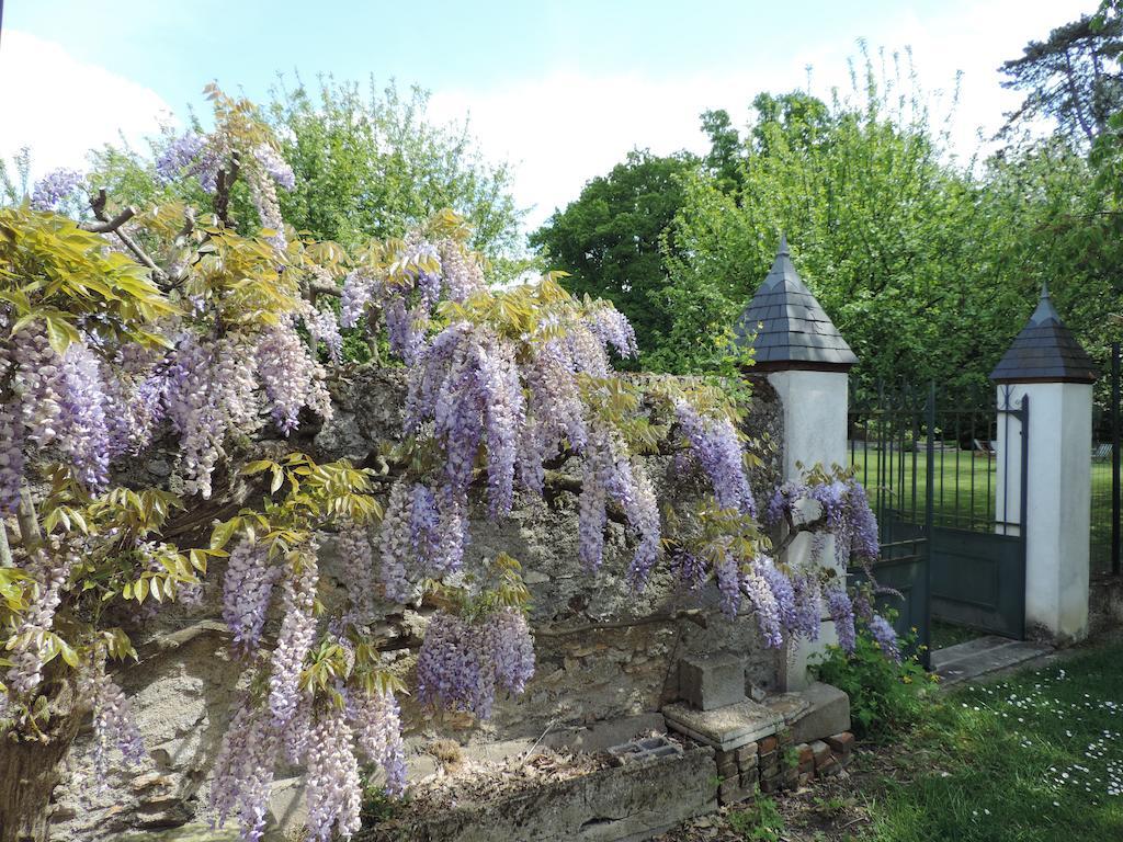 Cedre Et Charme Bed & Breakfast Saint-Branchs Luaran gambar